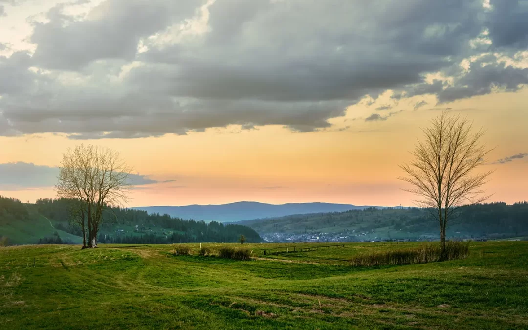 Top 10 Benefits of Building a Custom Home in Columbia, TN